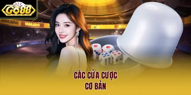 Các cửa cược cơ bản