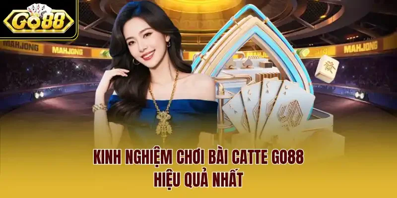 Kinh nghiệm chơi bài Catte GO88 hiệu quả nhất